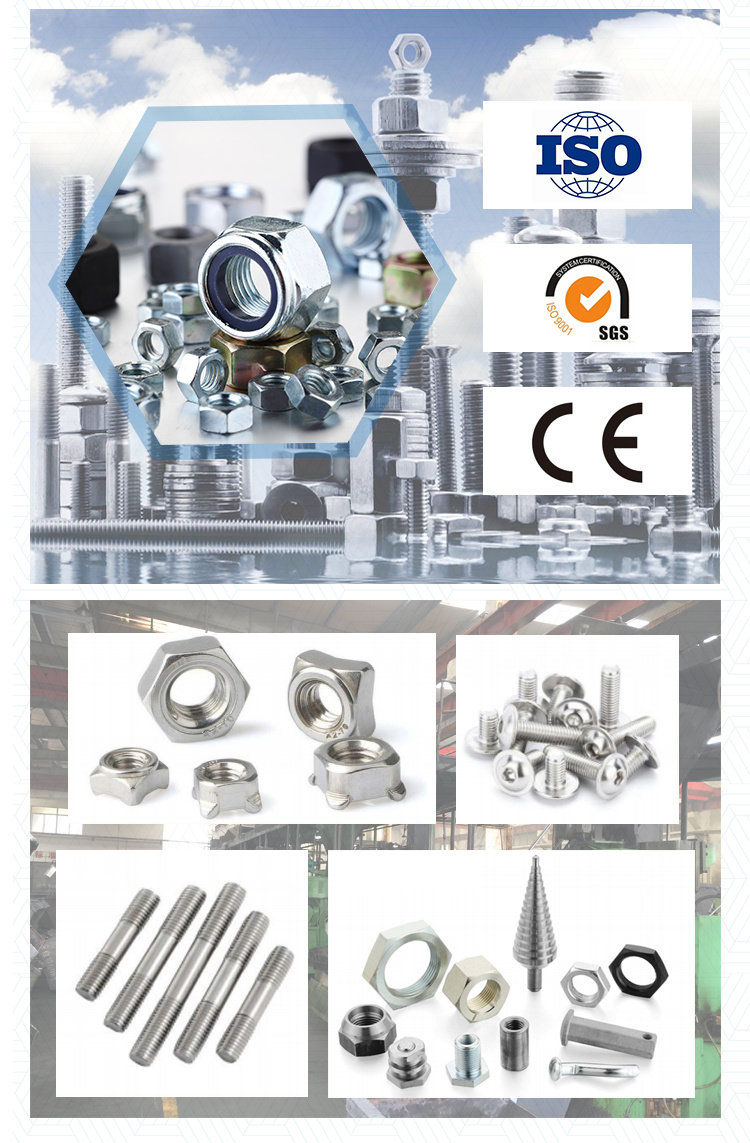 Tuerca de seguridad de nailon con brida hexagonal DIN1663